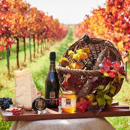 Agriturismo La Razza * Reggio Emilia